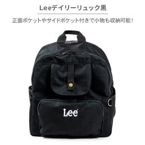 【P5倍】Lee 犬 キャリーバッグ デイリー...の詳細画像1