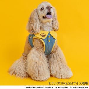 プレゼント対象 ミニオン犬ハーネス襟付きデニム...の詳細画像1