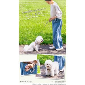 ミニオンティム犬伸縮リード小型犬|秋冬軽量ロッ...の詳細画像1