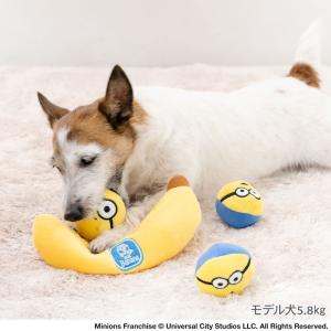 犬 おもちゃ ぬいぐるみ 音 噛む ペット オ...の詳細画像1