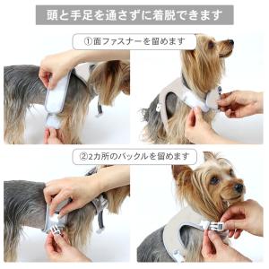 Lee 犬 ハーネス リード クール 牛柄 小...の詳細画像3