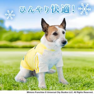 ミニオン 犬 服 夏 スポーツ柄 Tシャツ 小...の詳細画像2