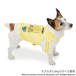 ミニオン 犬 服 夏 スポーツ柄 Tシャツ 小...の詳細画像3