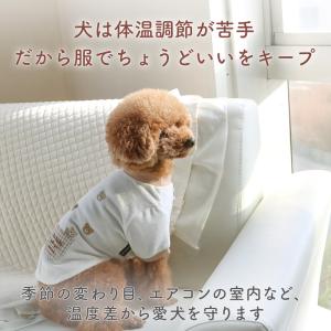 ディズニー チップとデール 犬 服 春 お顔 ...の詳細画像2