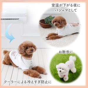 ディズニー チップとデール 犬 服 春 お顔 ...の詳細画像5