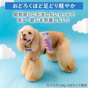 ディズニー トイ・ストーリー 犬 ハーネス バ...の詳細画像1