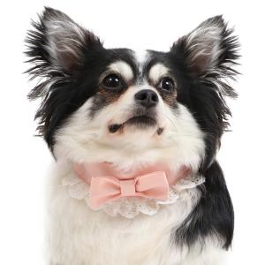 犬 首輪 小型犬  ブランド おしゃれ リボン 軽い 犬用 猫用 猫 簡単   りぼん 首輪