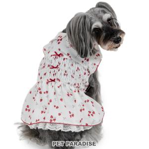 PET PARADISE（ペットパラダイス） 犬 服 冬 レース 襟 ワンピース
