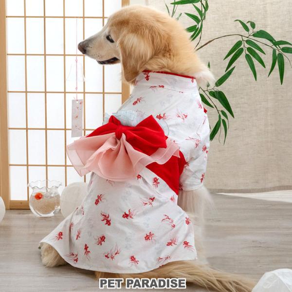 犬 服 春 夏 遊泳 金魚柄 浴衣 中型犬 大型犬 | ホワイト レトロ 女の子 帯付き お祭り イ...