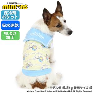 ミニオン 服 犬の商品一覧 通販 Yahoo ショッピング