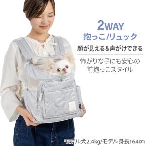 犬 キャリーバッグ 超小型犬 グレー | 飛び...の詳細画像1