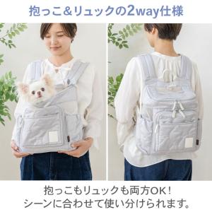 犬 キャリーバッグ 超小型犬 グレー | 飛び...の詳細画像2
