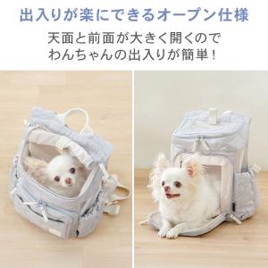 犬 キャリーバッグ 超小型犬 グレー | 飛び...の詳細画像3