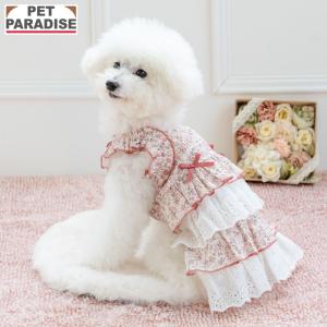 アイビタ Eye Vita1個 : ヤフウストア ケッセル - 通販 - Yahoo