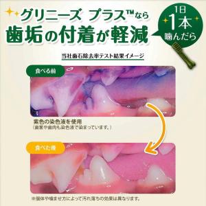 マース グリニーズ プラス 成犬用 超小型犬用...の詳細画像3