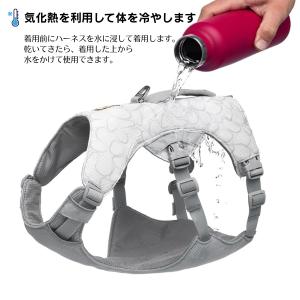 ラフウェア スワンプクーラーハーネス 犬 小型...の詳細画像1