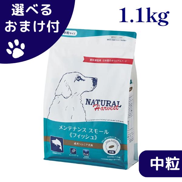 ナチュラルハーベスト メンテナンススモール フィッシュ 1.1kg 中粒 犬 (ドッグフード)