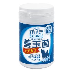 セレクトバランス 善玉菌のチカラ 45g 犬用 顆粒 (ペットサプリ)