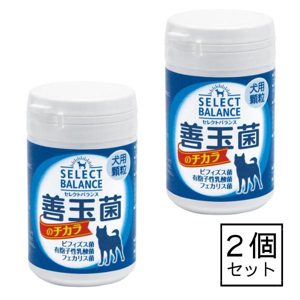 2個 セレクトバランス 善玉菌のチカラ 45g 犬用 顆粒 (ペットサプリ)