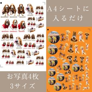 うちの子耐水フレークシール A4に入るだけ! ...の詳細画像3