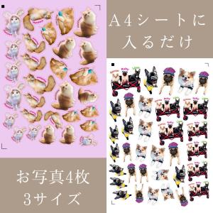 うちの子耐水フレークシール A4に入るだけ! ...の詳細画像4