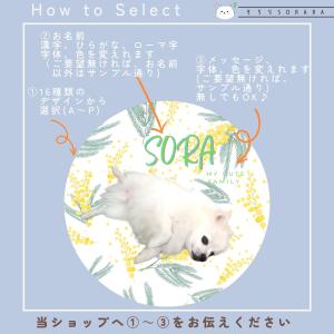 もっとセミオーダープチ缶 My Cute Fa...の詳細画像5