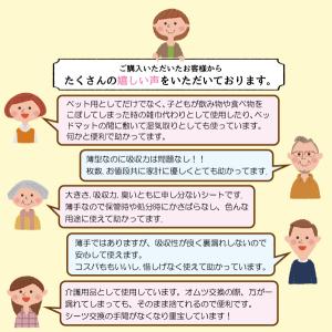 ペットシーツ レギュラー 800枚 薄型 トイ...の詳細画像4
