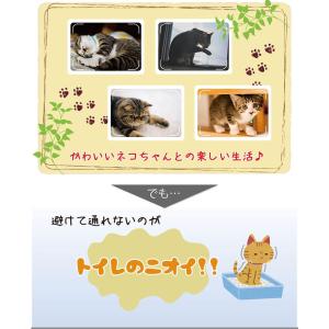 猫砂 ひのき猫砂(50L) 流せる ひのき 消臭の詳細画像2