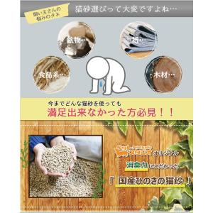 猫砂 ひのき猫砂(50L) 流せる ひのき 消臭の詳細画像3
