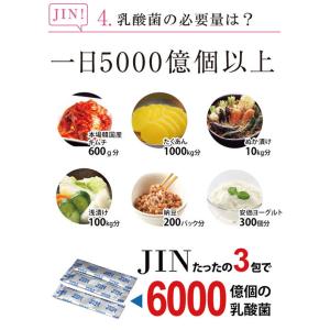 動物用乳酸菌食品 H&JIN ジン(1箱30包入)の詳細画像4