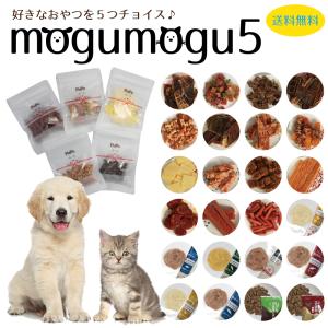 犬 おやつ 無添加 お試し 詰め合わせ 全15種類 魚 ジャーキー チーズ