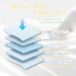 【1枚あたり4.15円〜】 ペットシーツ 薄超...の詳細画像2