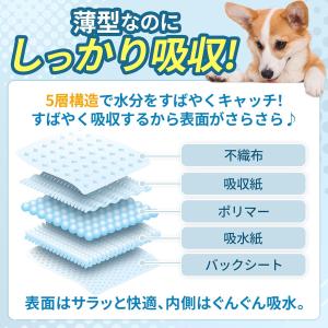 ペットシーツ 薄超型 レギュラー 1200枚 ...の詳細画像4