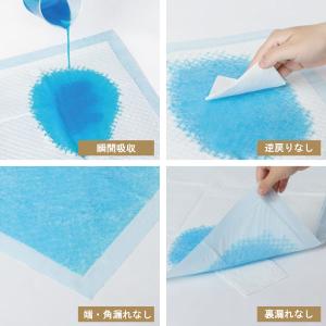 【1枚あたり4.15円〜】 ペットシーツ 薄超...の詳細画像5