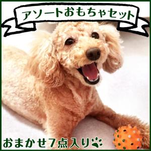 ペット用品 おもちゃ 犬 猫 アソートおもちゃセット