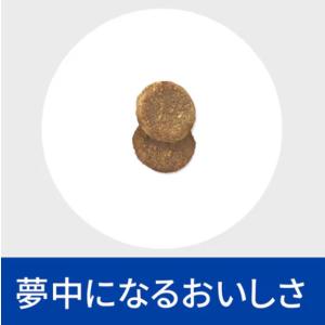 猫用 腸内バイオーム 500g コンフォート ...の詳細画像1