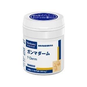 三ビグ「お届け先本州限定」「送料無料」「２個セット」〈ビルバック〉ガンマダーム　60粒入