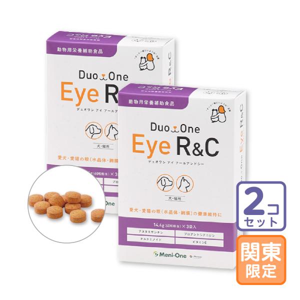 お届け先関東・関西・中部限定/2個セット「Duo One Eye R&amp;C デュオワンアイアールアンド...