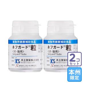 日本全薬 【あすつく】【インスラクト 100粒 (10粒×10シート) ×1個