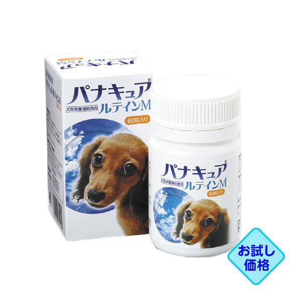 お試し価格「パナキュアルテインM 60粒」同梱不可/三ビグ【0671】