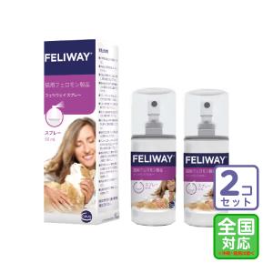 お届け先全国対応「フェリウェイ 専用拡散器＆リキッド」ビグ【0739