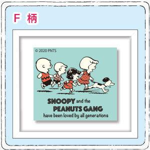 SNOOPY（スヌーピー） 70YEARS PEANUTS 70周年 限定 フレーム