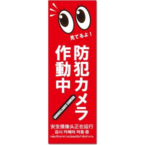 MTO 防犯プレート06 【防犯カメラ作動中】 縦型 サイズ/S 285mm×95mm 1枚 赤 S...