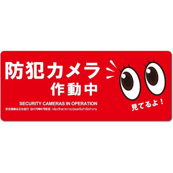 MTO 防犯プレート06 【防犯カメラ作動中】 横型 サイズ/M 350mm×125mm 1枚 赤 ...