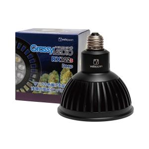 【ボルクスジャパン】 GrassyLeDio RX122s Deep B 黒[GLRX122S/DP]｜petballoonshop