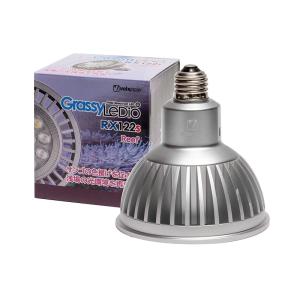 volxjapan（ボルクスジャパン） Grassy Core X120