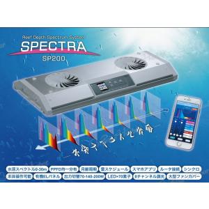 SPECTRA SP200(スペクトラ) ブラック : チャーム SPECTRA SP200(スペクトラ) ブラック : チャーム