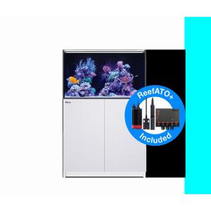 【お取り寄せ】【Red Sea】　Reefer G2＋ 250 ホワイト