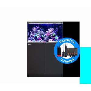 SPECTRA SP200（スペクトラ） ブラック : チャーム charm