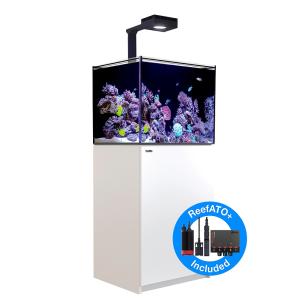 【お取り寄せ】【Red Sea】　Reefer G2＋DX  170 ホワイト｜petballoonshop